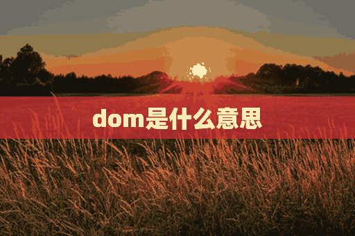 dom是什么意思(dom是什么意思字母圈)